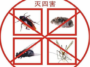 盐步除虫灭鼠中心驱赶蟑螂、蚊子的方法有哪些