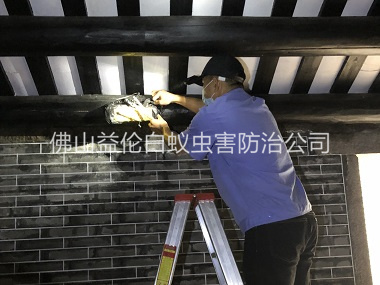 和顺祠堂杀灭白蚁工程