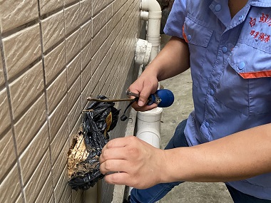 九江白蚁防治公司房屋建筑灭治白蚁危害的方法