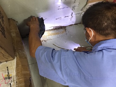 狮山灭除白蚁中心白蚁防治为什么要定期检查反复消杀